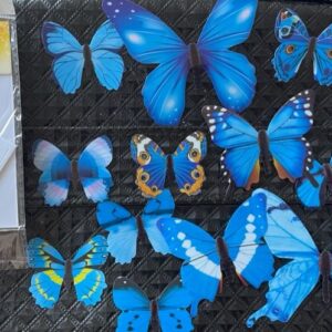 Motyle 3D dekoracja naklejki na ścianę   B298